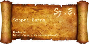 Szopri Barna névjegykártya